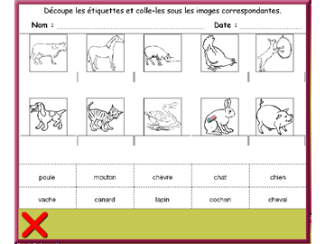 Modèle n° 5