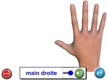 Activité Découverte - Exercice Mains/Pieds