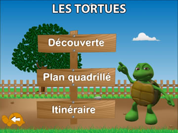 LES TORTUES